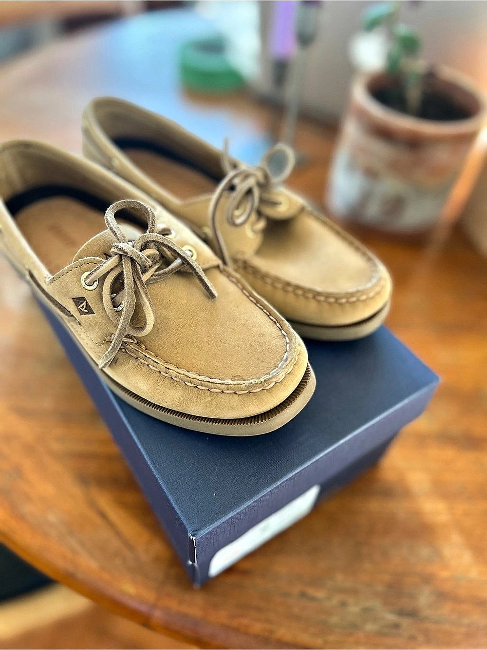 Sperry x Aritzia AO Boat Shoe - Nubuck Leather
